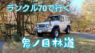 ランドクルーザー70で鬼ノ目林道の紅葉狩りに行ってみた