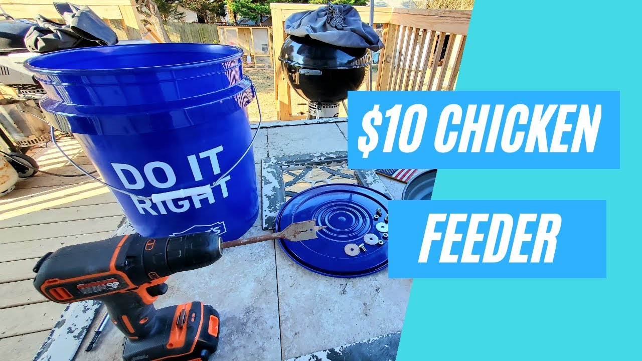 How to Make a 5 Gallon Automatic Chicken Feeder for $10!-Cheap and Easy ...