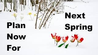 Why You Should Plan Your Spring Bulbs Right Now
