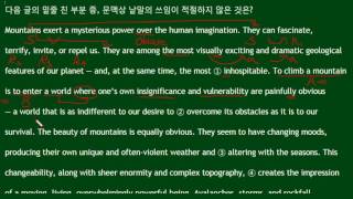 2018 EBS 수능특강 영어독해 11강 11번 - 번개콩