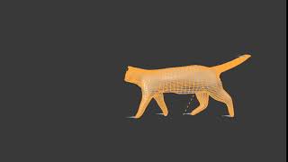 Cat rig test
