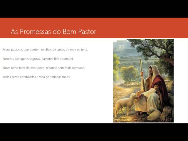 Sacerdote: o Bom Pastor como promessa de Deus a seu povo - Diocese de Uruaçu