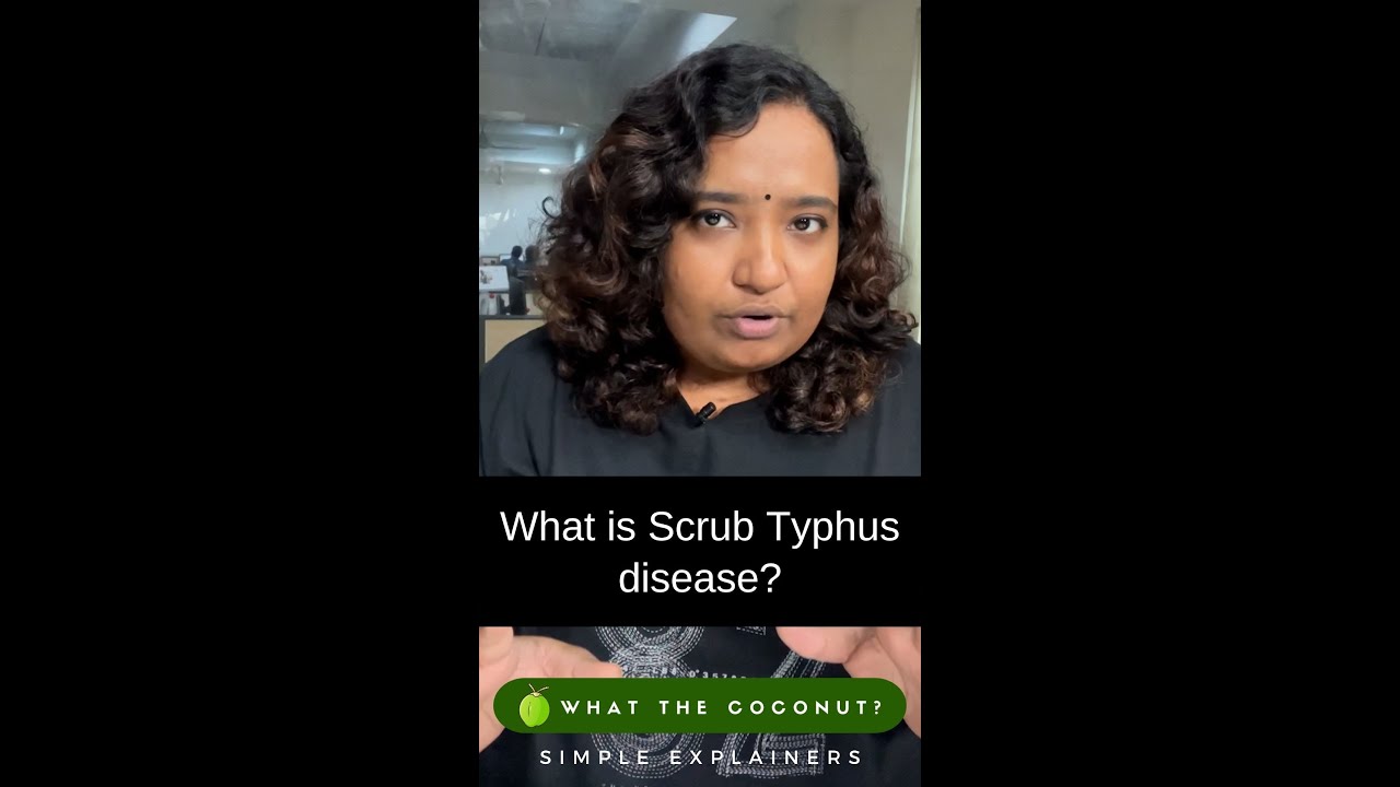 How to prevent Scrub Typhus disease?