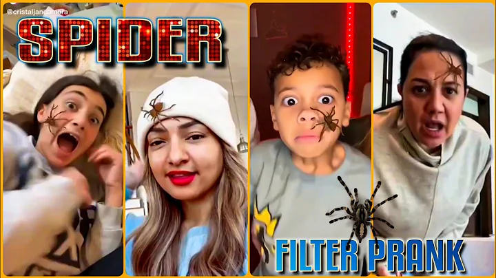 Spider Filter Prank Tiktok Compilation