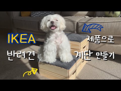 ENG)미국 이케아 DIY 반려견 계단 만들기 | 가성비 가구 리폼 꿀팁 | 미국 사는 강아지 | IKEA DIY pet steps | ikea hack