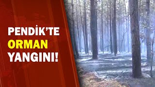 Pendikte Gece Yarısı Başlayan Orman Yangını Kontrol Altına Alındı / A Haber A Haber