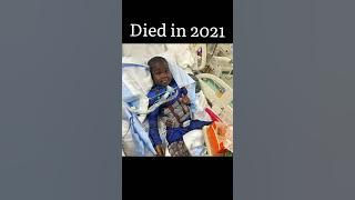 Meme heroes who have died #memes #shorts