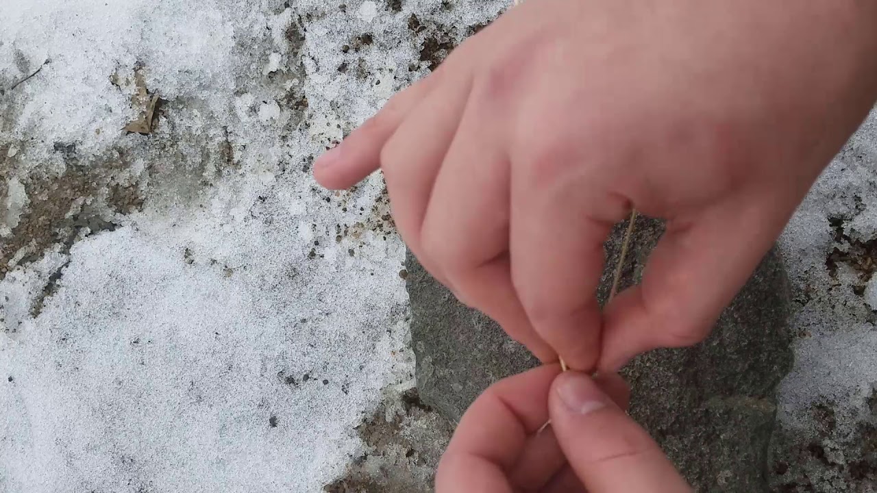 How to make PRIMITIVE CORDAGE from natural materials - YouTube