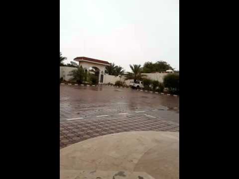مدينة العين امطار من المتوسطه الى الغزيرة فلج هزاع 