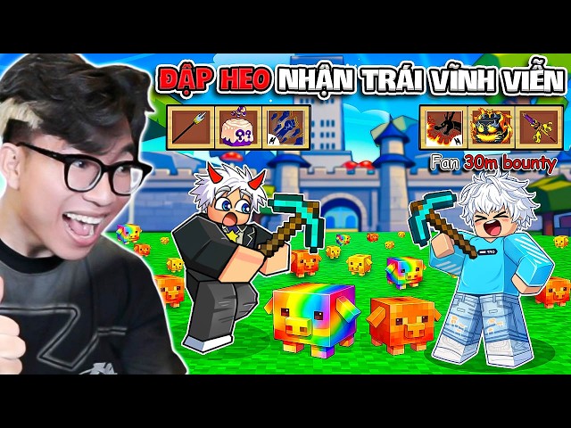BI HUỲNH ĐẬP HEO DÙNG TIỀN ĐỔI TRÁI ÁC QUỶ PVP CÙNG FAN 30M BOUNTY TRONG BLOX FRUITS