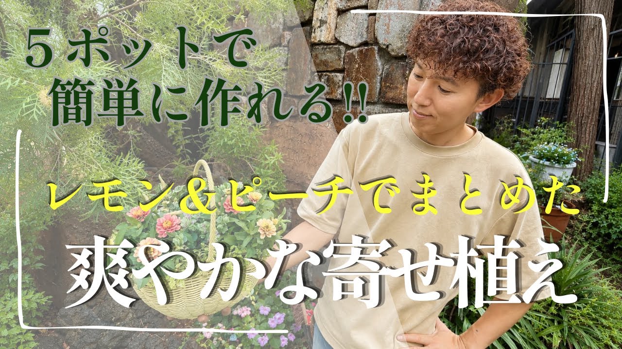 More Than Just Flashy! How to Enjoy Summer Staple Hibiscus - YouTube