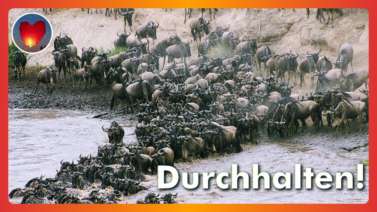 Depressionen überwinden: Wie schaffe ich es durchzuhalten?