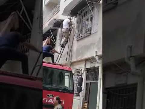 Kedi Nankörlüğü mü?