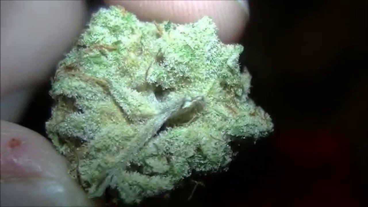 KGBs Oceangrown Alpha Tester Contest journal 15