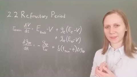 Computational Modeling of Neuronal Plasticity: 2.2