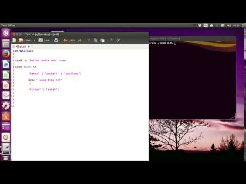 6 - les conditions case  langage Script Bash linux