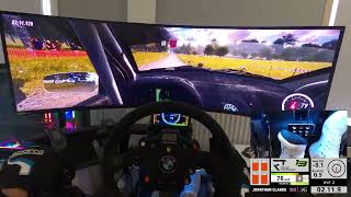 INSANE POV - Skoda Fabia 05 WRC - Germany [DiRT Rally 2.0]