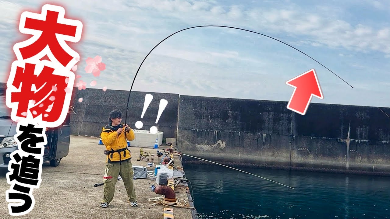 春の大物を狙うならコレ！噂の泳がせヤエン釣りで夢の大型アオリイカ！！！！！