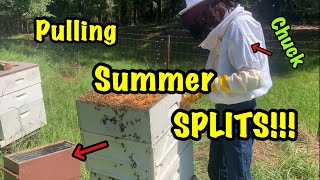 BEEKEEPING - Pulling Summer SPLITS from established hives (with Chuck) - 100th VIDEO!!!