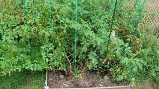 How to drive flimsy garden stakes into hard ground