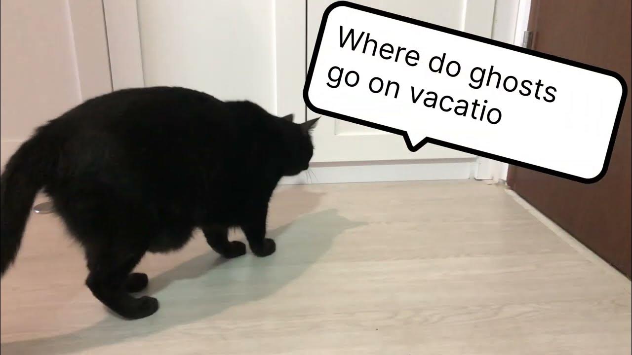 where-do-ghosts-go-on-vacation-youtube