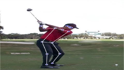 Write a Pose Estimation Program with p5.js