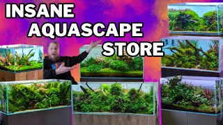 One of the BEST UK Aquascaping shops. + a new project for me! by Fish Shop Matt 35,463 views 3 months ago 16 minutes