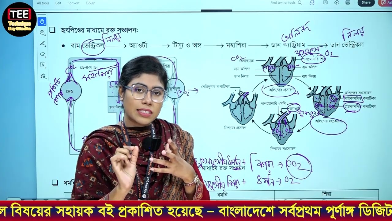 এসএসসি জীববিজ্ঞান | অধ্যায় ০৬ | জীবের পরিবহন | বেসিক হৃদপিণ্ড ও রক্ত সঞ্চালন