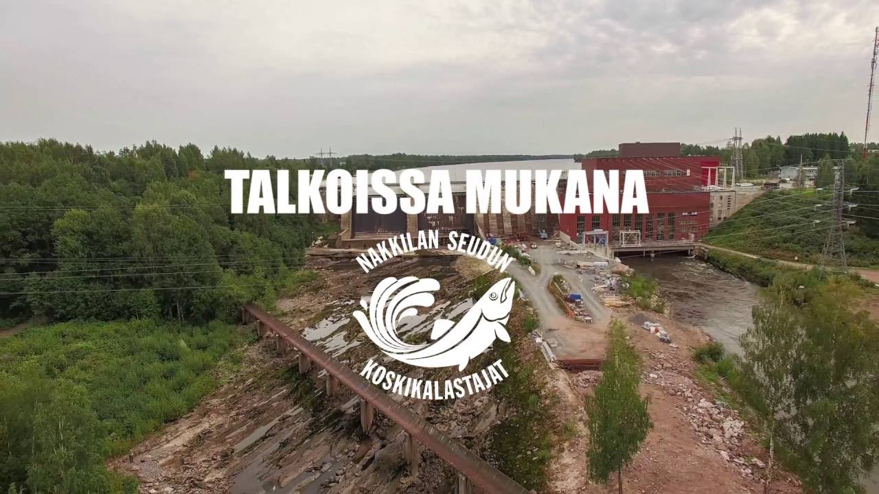 Kalasiirto Harjavallan voimalaitoksella elokuu 2016