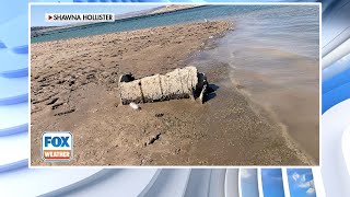 Body Found In Lake Mead More Bodies Expected To Turn Up As Water Levels Decrease