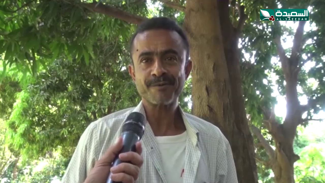 وادي وشلال سنوان بالمعافر.. مياه عذبة وزراعة خصبة..