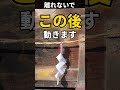 これを見ている時点で外せません|この後、すべての運が動き出します #遠隔参拝 #安良居神社 #神様に呼ばれた #総合運アップ #運気上昇 #開運動画 #強運体質 #引き寄せ #ご利益 #運気覚醒