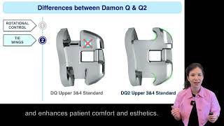 Damon Q2：Precision, Comfort & Beyond｜【Chris Chang Ortho】CC738