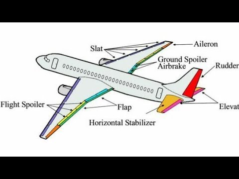 فيديو: ما هي اجزاء الطائرة؟