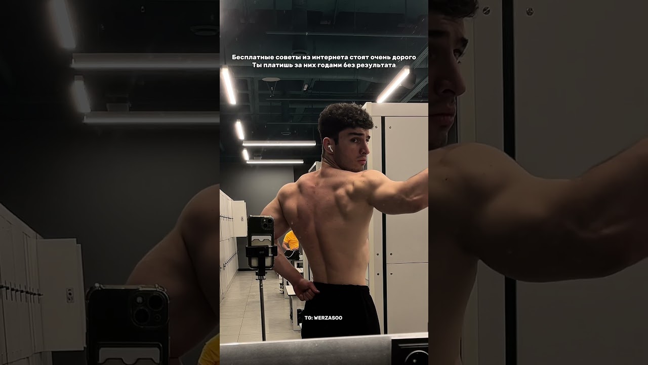 (гайд для новичков в тг @werzasoo) Подпишись. 