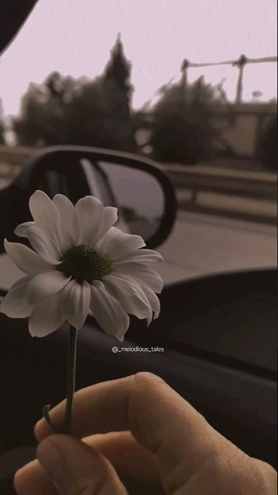 kya pyaar saza hai🥀🍂 | mushk ost #shorts #lyrics #trending #sadstatus #foryou #youtubeshorts