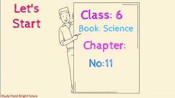 Science Class 6 Chapter 11 | STBB | Investigating sound | MCQ