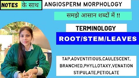 Root || Stem || Leave || Descriptive Terminology || Taxonomy || Notes for You