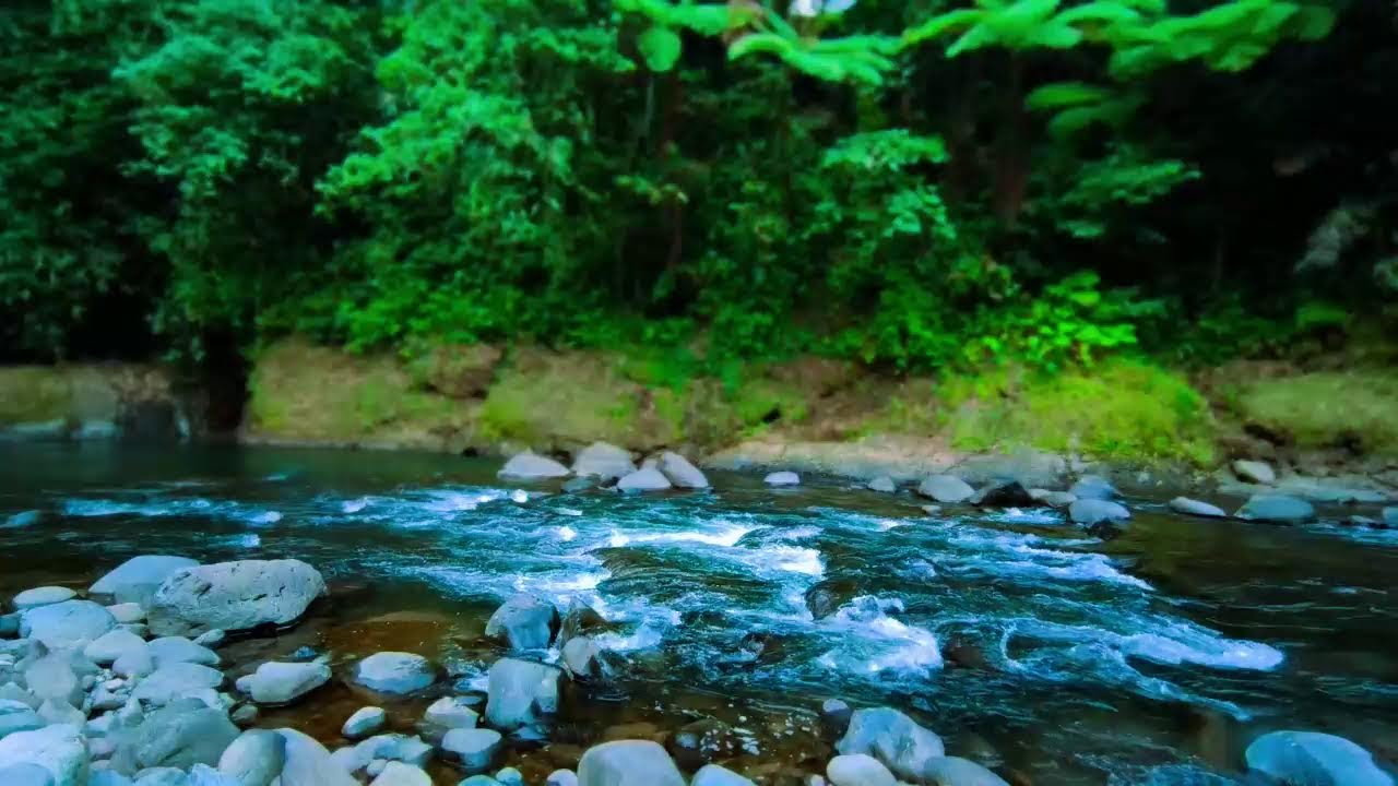 Nature Sound - Relaxing River Sound Natural sounds to help sleep, stress relief, Meditation