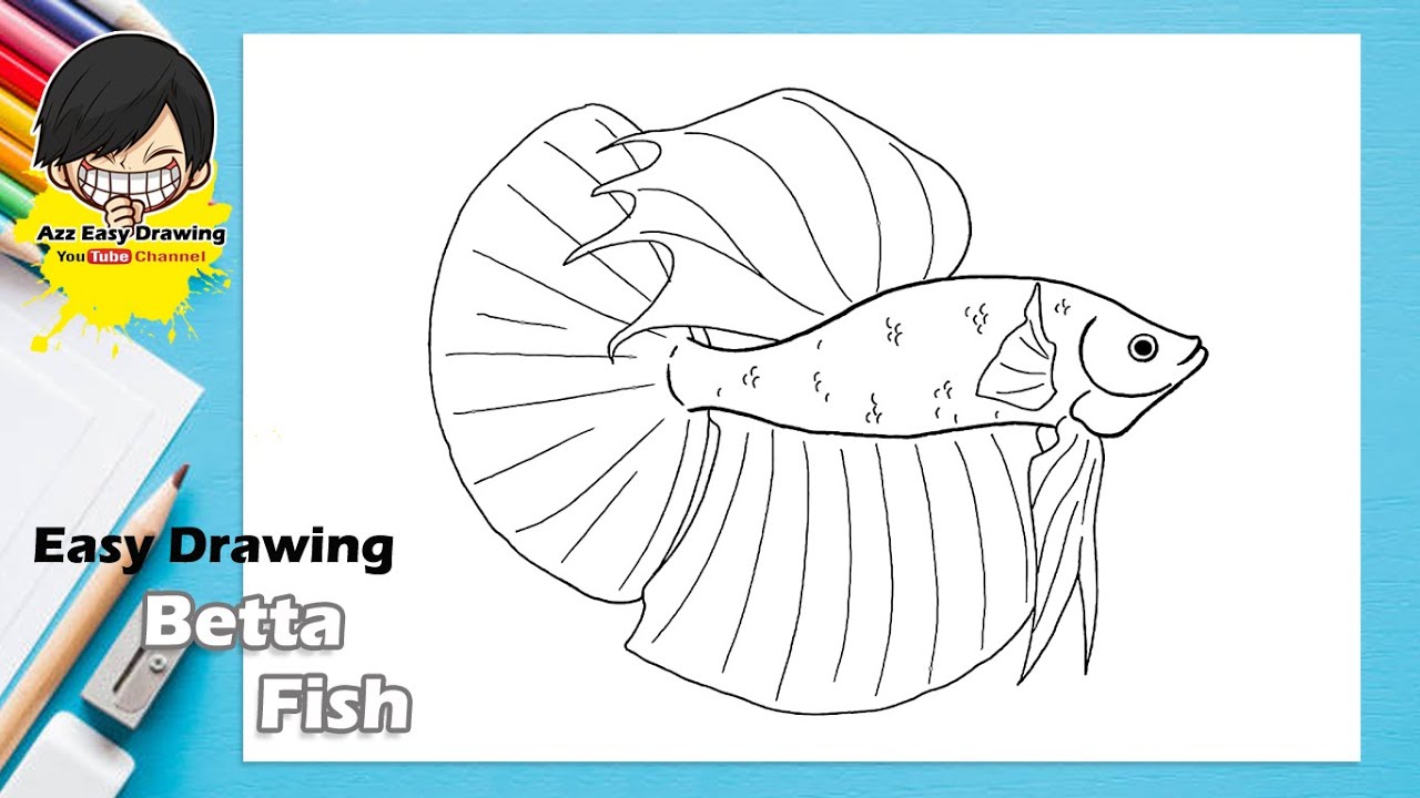 Easy Betta Fish Drawing