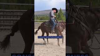 Do You Notice Your Belly On While Riding?