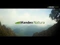 MANDEO NATURA - Naturaleza, biodiversidad y medioambiente