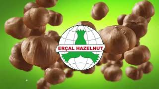 ERÇAL FINDIK / Ordu