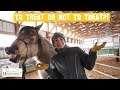 To Treat Or Not To Treat 🍎🥕 // Versatile Horsemanship