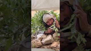 İlerde Çadırlar Var Kumandanım