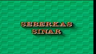 Nike Ardilla - Seberkas Sinar | House Mix Version (Original VCD Karaoke)
