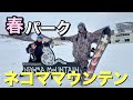 春のパークセッション!ネコママウンテン