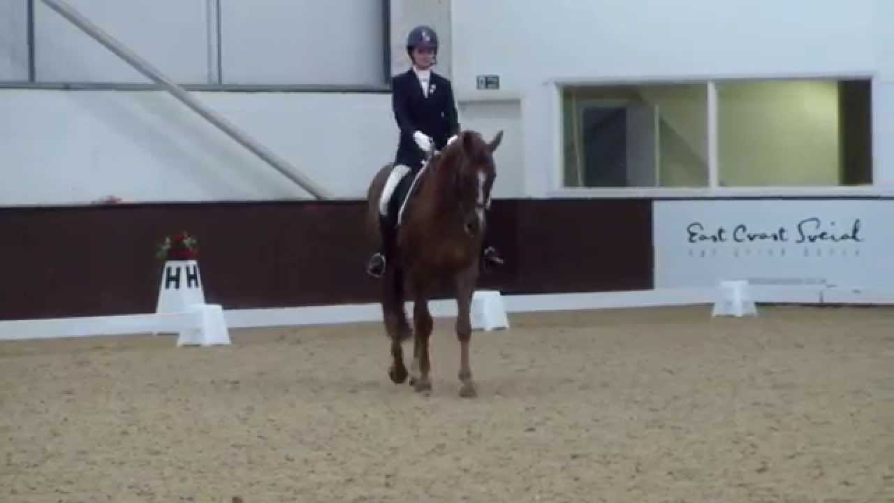 BD Elementary freestyle Dressage to music YouTube