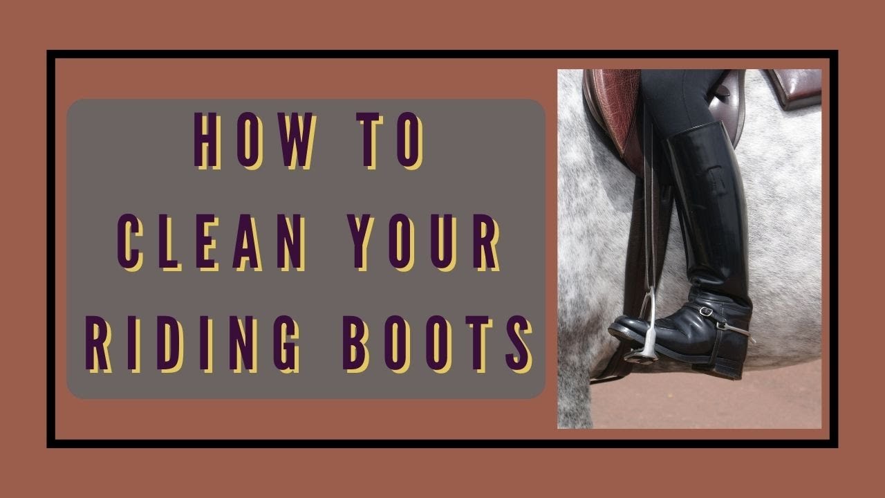 How to Clean your Leather Riding Boots! YouTube
