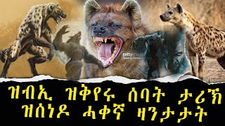 ዝብኢ ዝቅየሩ ሰባት፣ ታሪኽ ዝሰነዶ ሓቀኛ ዛንታታት፣